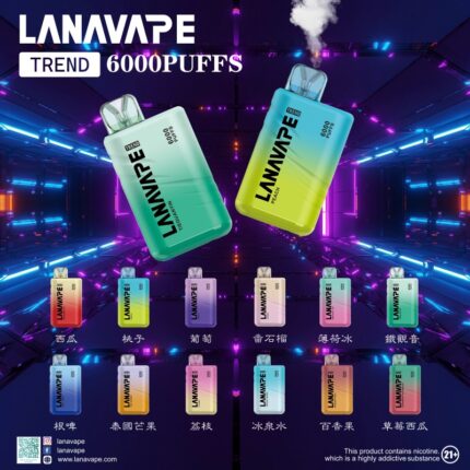 LANA 一次性 6000口 可充電